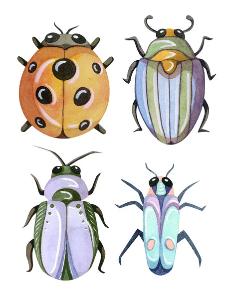 Aquarelle peinte à la main coléoptères dessin animé. Insectes et insectes drôles colorés et mignons . — Photo