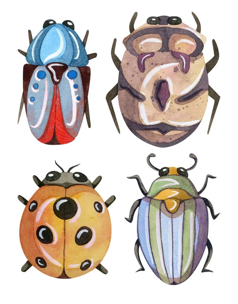 Ręcznie malowane chrząszcze kreskówkowe. Śmieszne kolorowe i słodkie owady i owady. — Zdjęcie stockowe