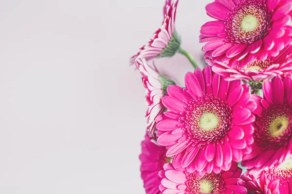 Bukiet gerbera kwiaty na jasnoróżowym tle z miejsca do kopiowania. — Zdjęcie stockowe