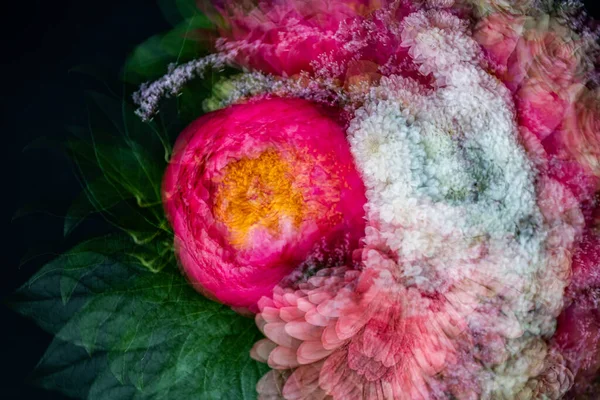 Abstract bouquet of peonies. Moody flower. Bright abstract flower background.