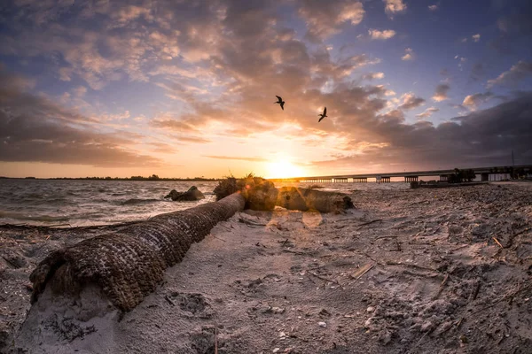 Epische Zonsopgang Bij Fort George Island Jacksonville — Stockfoto