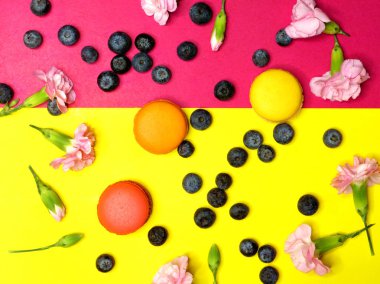 Kaşmir atkı üzerinde renkli macaroons