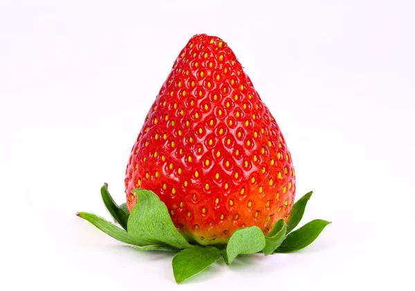 Единственный Strawberry — стоковое фото