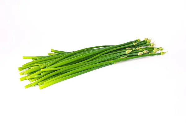 Fresh spring onion flowers — Stock Photo, Image