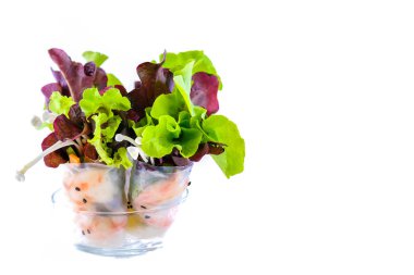 karides ve taze sebze çeşitleri ile bahar rulo açık bir hizmet cam, beyaz arka plan üzerinde izole, kopya alanı ile