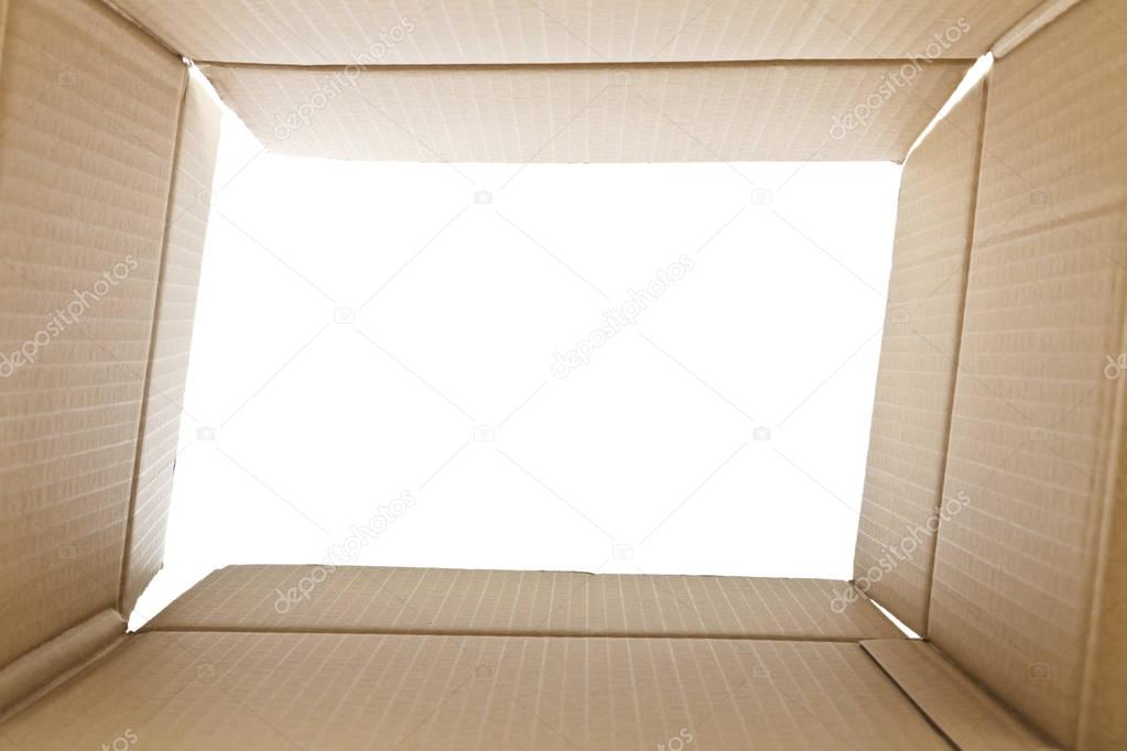 View from inside a cardboard box
