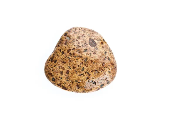 Wet sea stone isolated on white background — Stock Photo, Image