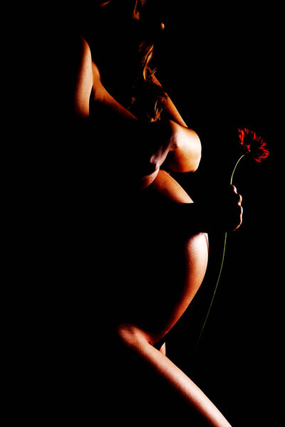 Pregnant woman touching her belly and holding gerbera.