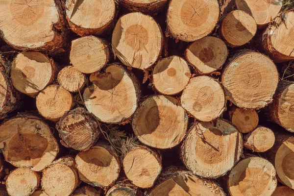 Ein Haufen geschnittenes Holz Baumstumpf log Textur — Stockfoto