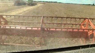 Olgun buğday hasat hasat birleştirmek