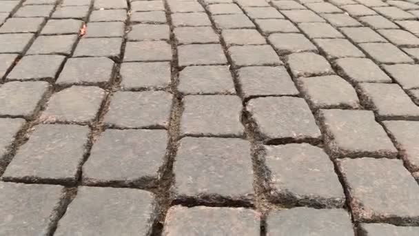 Panorama on paved street close-up — Stock Video