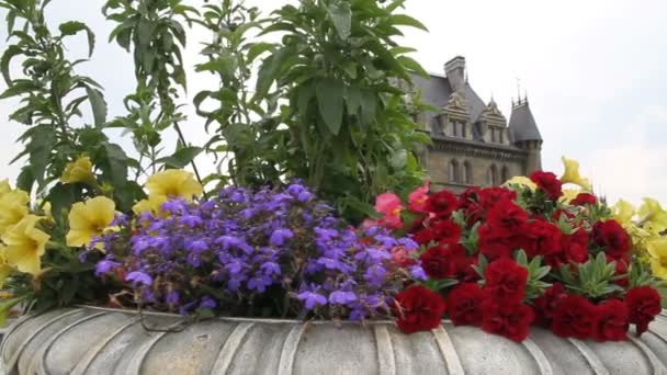 Panorama met bedden van bloemen in het oude kasteel — Stockvideo