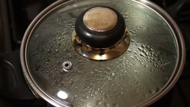 Cobertura levantada em uma panela com água fervente — Vídeo de Stock