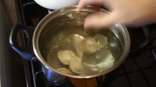 Deja caer las albóndigas en el agua hirviendo. — Vídeo de stock