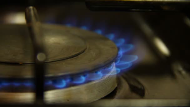 Burning gas in the burner gas stove closeup — Stock Video