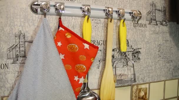 Ciseaux de cuisine suspendus sur le crochet pour rail de support — Video