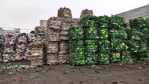 Piles de bouteilles en plastique comprimé préparées pour le recyclage — Video