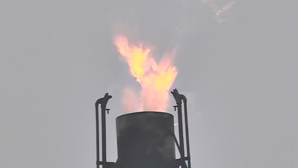 Åtföljer gas fackling vid anläggningen — Stockvideo