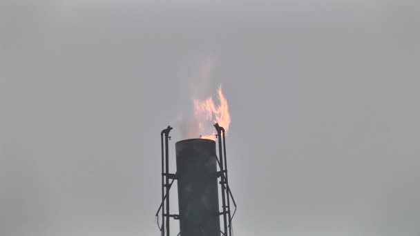 Gás de acompanhamento a arder na instalação — Vídeo de Stock
