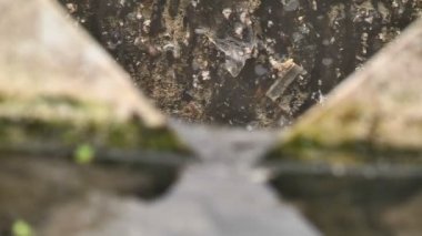 Atık su arıtma tesislerinde atık su arıtımı