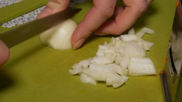 Kızartma için kesim soğan — Stok video