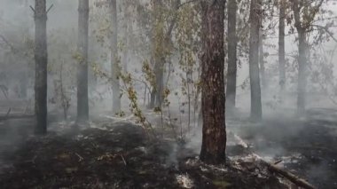 Rusya 'daki helikopterden çıkan yangın.