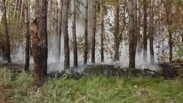 Lauffeuer aus dem Hubschrauber in Russland — Stockvideo