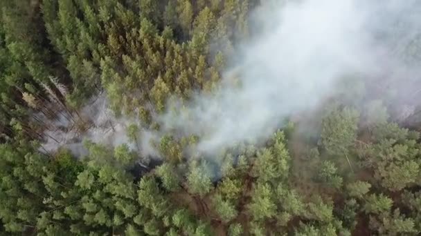Incendie du copter en Russie 