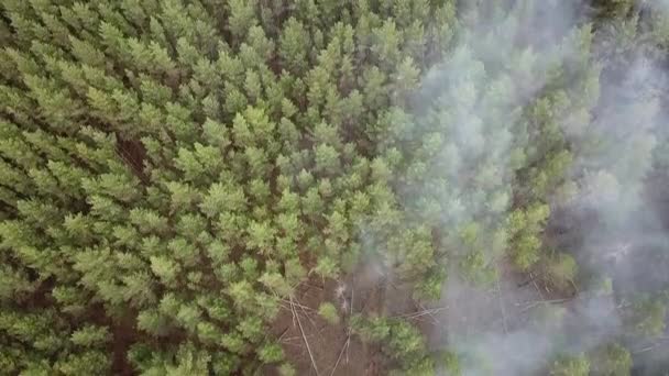 Lauffeuer aus dem Hubschrauber in Russland — Stockvideo