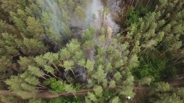 Rusya 'daki helikopterden çıkan yangın. — Stok video