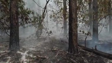 Rusya 'daki helikopterden çıkan yangın.