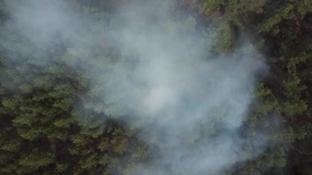 Wildfire från koptern i Ryssland — Stockvideo