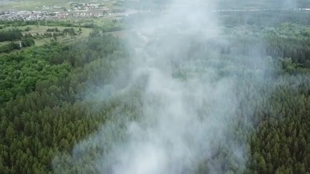 Лесопожар на вертолете в России — стоковое видео