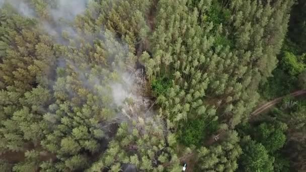 Лесопожар на вертолете в России — стоковое видео