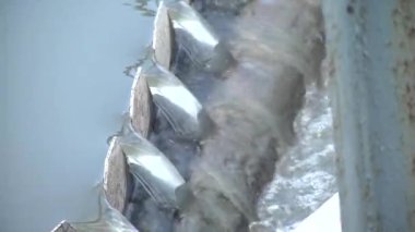 Atık su arıtma tesislerinde atık su arıtımı