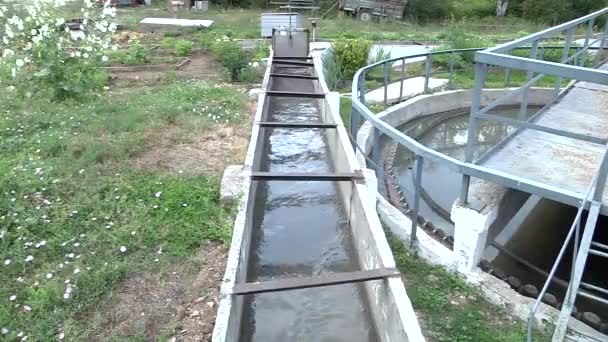 Atık su arıtma tesislerinde atık su arıtımı — Stok video