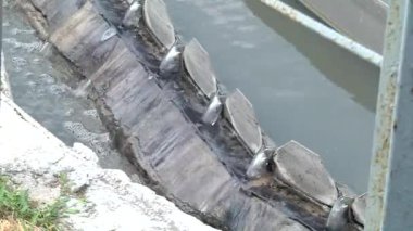 Atık su arıtma tesislerinde atık su arıtımı