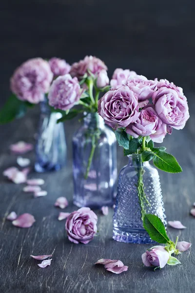 Natureza morta com rosas roxas frescas — Fotografia de Stock