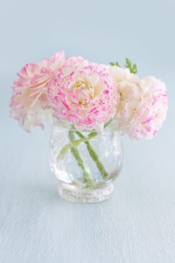 pembe tipik çiçekler