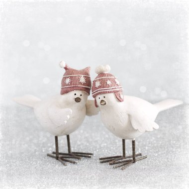 İki komik küçük kuş