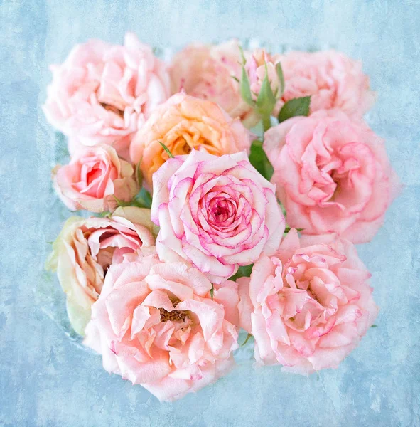 Mooie roze roze bloemen . — Stockfoto