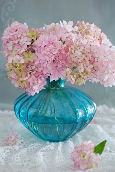 Vacker rosa hydrangea blommor — Stockfoto