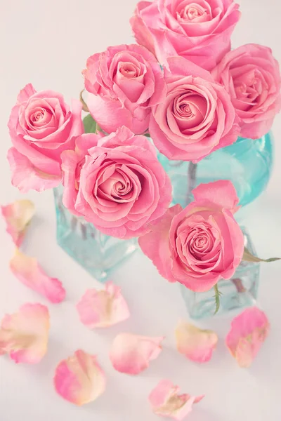 Prachtige roze rozen — Stockfoto