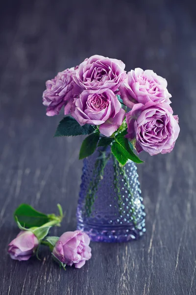 Vackra färska lila rosor — Stockfoto