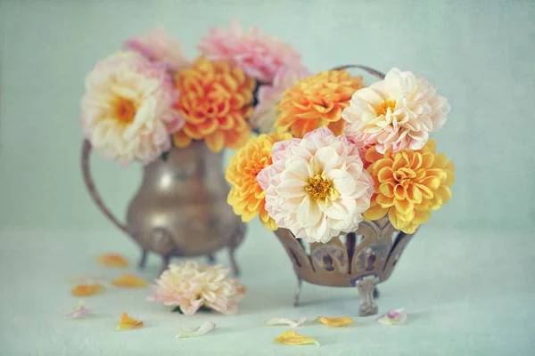 Bando de flores encantadoras  . — Fotografia de Stock