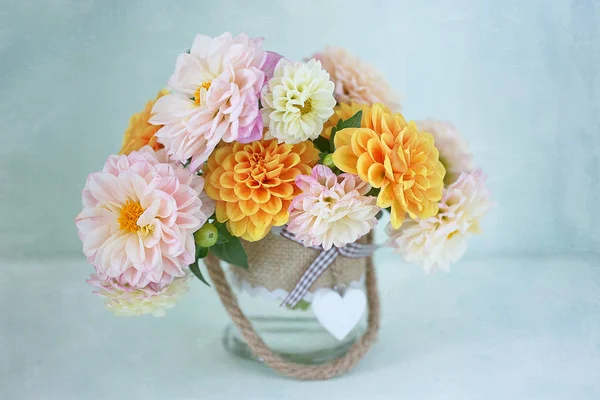 Sarı ve pembe dahlias — Stok fotoğraf