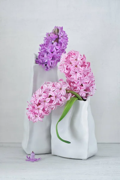 Belles jacinthes dans un vase . — Photo