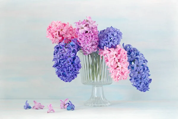 Hyacinths em um vaso . — Fotografia de Stock