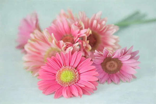 Precioso ramo de flores  . — Foto de Stock