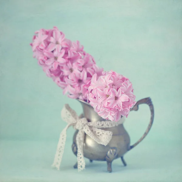 Belles jacinthes dans un vase . — Photo